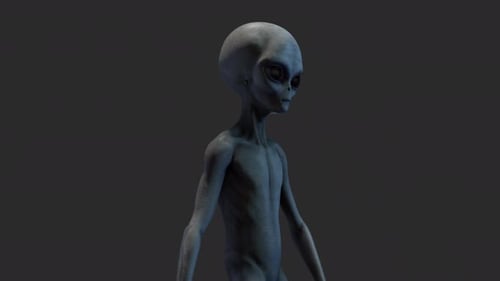 3D Rendered Grey Alien Character Animation