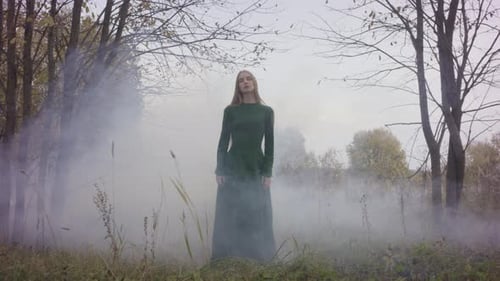 Model posing in a long green dress with fog rolling through autumn trees