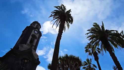 Uhrenturm und Palmen in Puerto, Spanien, an einem sonnigen Tag mit klarem Himmel