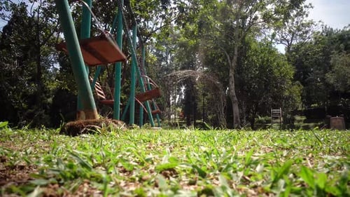 Park Swings Swaying on a Sunny Day