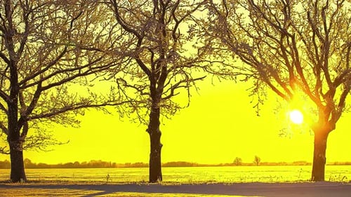 Bright yellow sunlight on a snowy landscape, Sunrise timelapse in winters