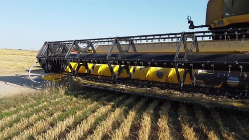 Erntemaschine erntet goldreifes Weizenfeld auf einem landwirtschaftlichen Feld
