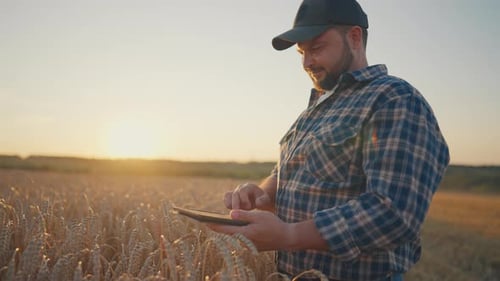 Modern Technologies in Agribusiness Farmer with Tablet Standing in Field Portrait of Farmworker in