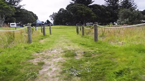 path, high, element, tree, collection, mount, field, ocean, plant, forest, mountains, color, concept