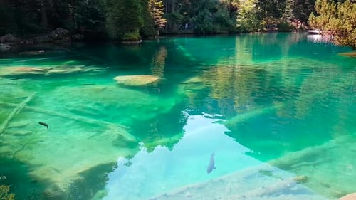 Beautiful shot of a clear blue lake with fish visible swimming in the water at Lake Blausee in Kande