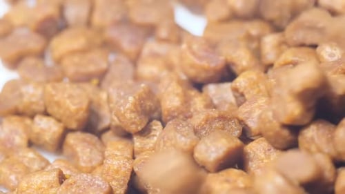 Macro of Healthy Dry Food for Cats on a Rotating Stand