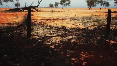 Fly-through Barbed Wire Fence in Dry Desert Landscape