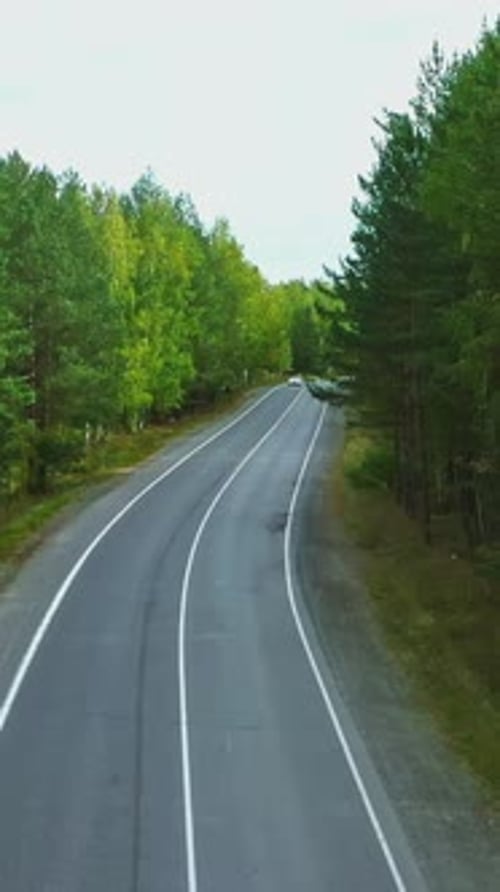 Survol de la route dans la forêt Images de végétation verte estivale dans la campagne