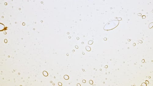 Gel líquido cosmético transparente con burbujas de moléculas, distribución de aceite sobre un fondo blanco Macro