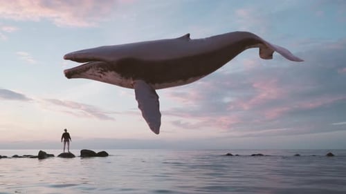 Flying Humpback Whale Surreal Abstract Loop