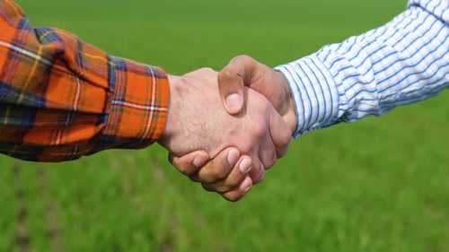 Two Farmer Standing in a Wheat Field and Shake Hands Close Up