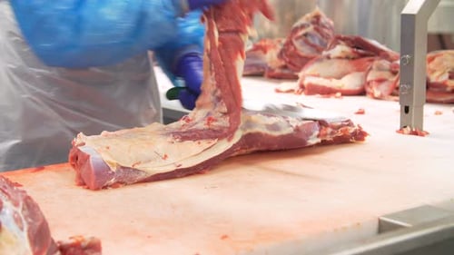 Butcher Trimming Raw Meat With Sharp Knife