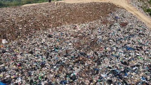 Aerial of Landfill with Cattle Grazing and People