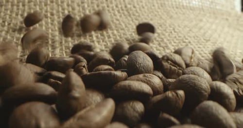 Roasted Coffee Beans Falling onto Burlap Close-Up