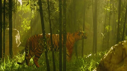 In a Thick Bamboo Forest a Tiger Stands Motionless Searching for Its Next Meal