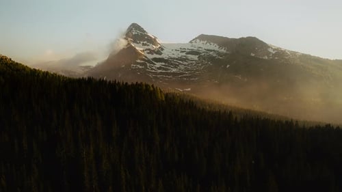 Mystic conifer trees in mountains during golden sunset and hovering mist and fog, aerial view