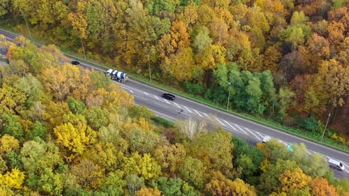 Highway with cars with colorful trees from both sides. Cars moving on the road among forest in fall.