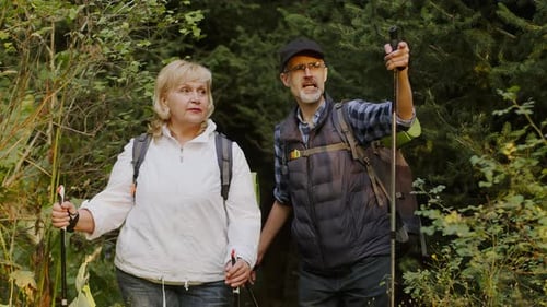 Idosos aposentados com mochilas e bastões de caminhada sentem momentos ativos ao ar livre. Retrato de um