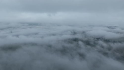 Aerial View of Fog Rolling Over Lush Landscape