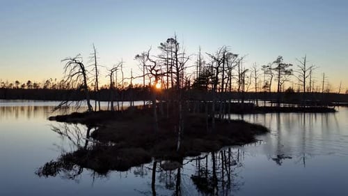 A lake with a sunset in the background. The water is calm and the trees are bare. The sky is orange