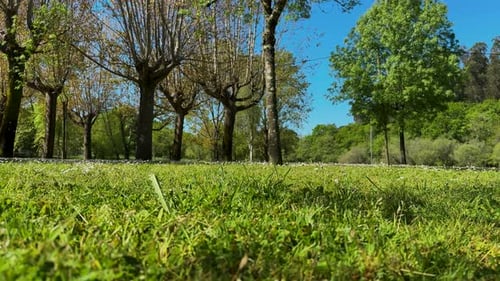 Paisaje verde y cielo azul.