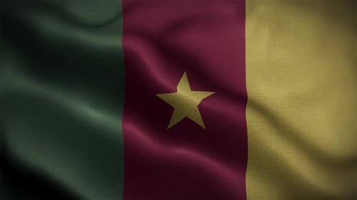 Cameroon Wavy Flag In The Wind