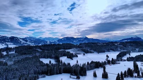 Meadows in the pine-tree woods covered with beautiful snow. Striking mountains range at backdrop.