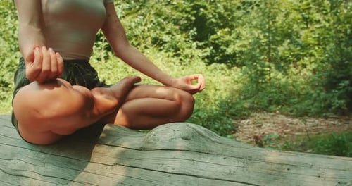 Woman Sits Crosslegged on a Fallen Tree Trunk in the Forest Meditating Peacefully in Daylight