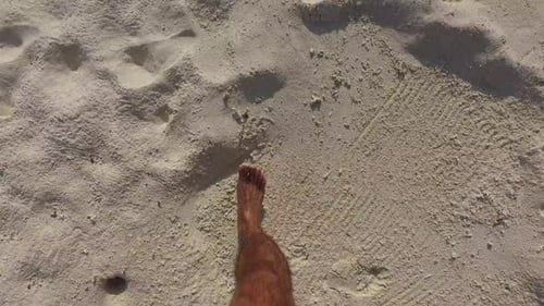 Barefoot Walk on Summer Beach