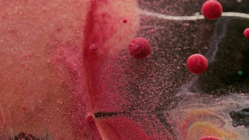 Close Up of Textured Red Spheres in Liquid
