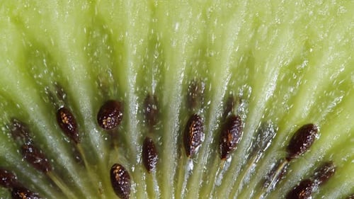 UpClose Kiwi Slice Rotation auf dunklem Hintergrund, Makro-Videomaterial in Zeitlupe, das Saftige festhält