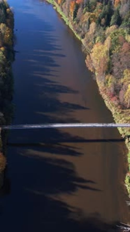 Autumn landscape with a river and bridge in a forested area