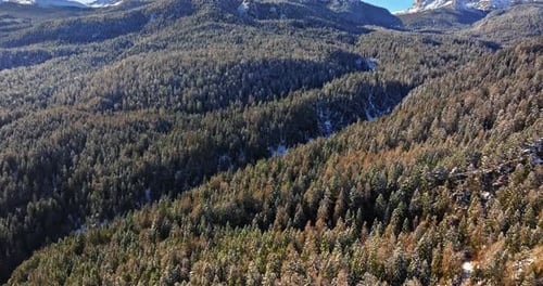 Aerial drone view of trees on the mountains in the Dolomites, Italy