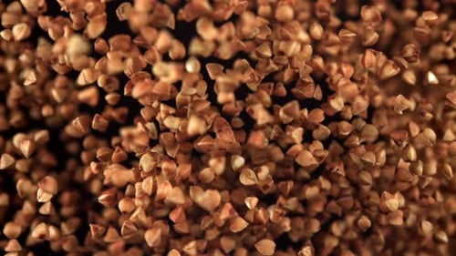Buckwheat Flies Up and Falls Down Filmed on a Highspeed Camera at 1000 Fps