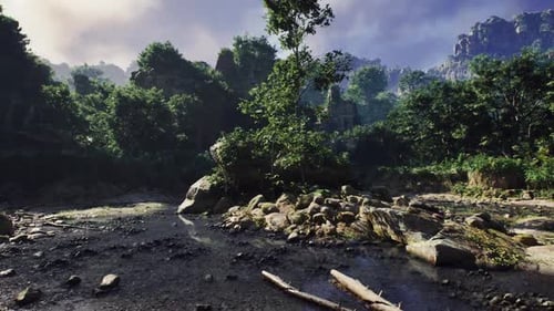 Explorez la végétation luxuriante et le terrain rocheux du Laos à la lumière de l'après-midi