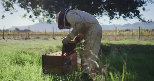 Pharmaceutical industries use beeswax in ointments