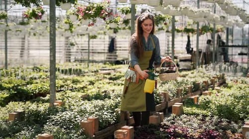 Woman Gardening in Tropical Greenhouse with Hanging Flowers