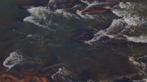Wild mountain river flowing through stone boulders, Water clear stream river flowing in the deep for