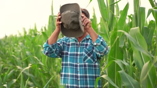 Farmer Standing Proudly in a Green Corn Field