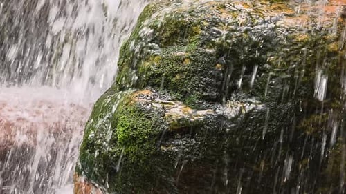 Close-up of water flowing over a mossy rock that resembles a human face.