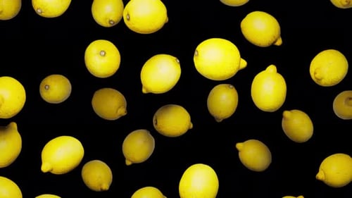 Floating Lemons Animated Background Alpha Channel