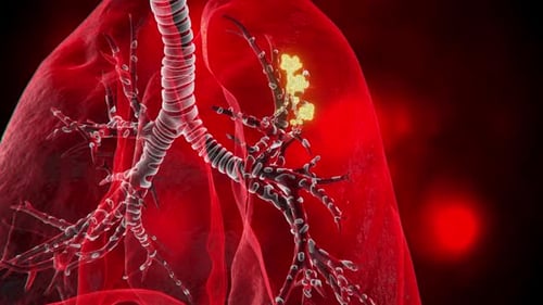 3d bacteria in the body