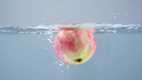 Pomegranate Falling into Water, Close Up