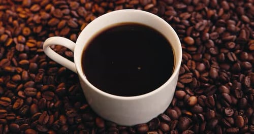 Coffee beans, cup and liquid in studio for strong caffeine, preparation or dark roast process