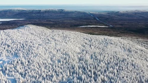 Snowy Forest Landscape with Frozen River in Winter