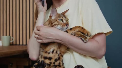 Woman Holding Cat and Talking on Phone