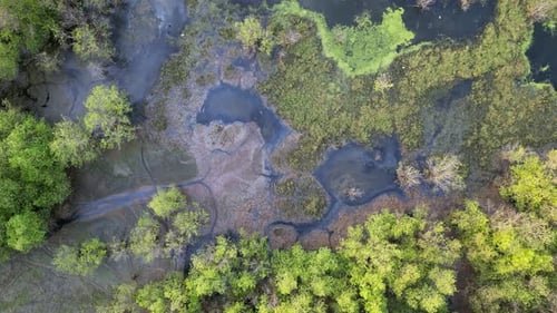 Aerial top down view lush green natural wetland