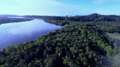 Environnement naturel de la forêt tropicale amazonienne HD
