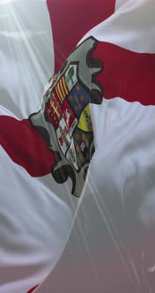 Realistic Waving Flag with Decorative Heraldic Crest