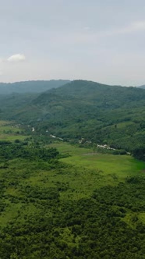 Tropical Mountain and Forest in the Philippines